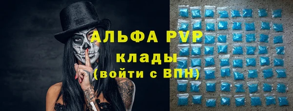 сатива Володарск