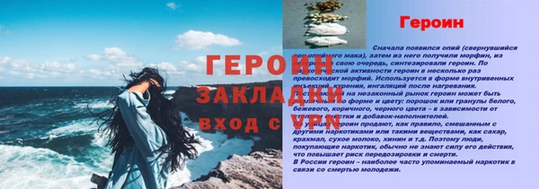 ПСИЛОЦИБИНОВЫЕ ГРИБЫ Вязники